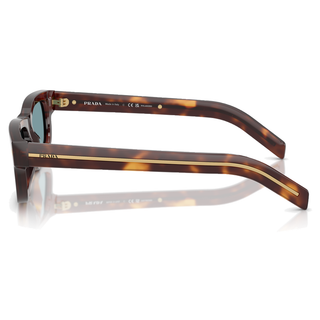 
  
    CLASSIC TORTOISE | GREEN POLAR
  
