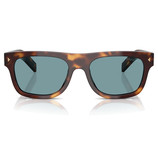 
  
    CLASSIC TORTOISE | GREEN POLAR
  
