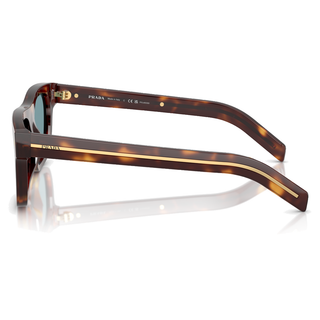 
  
    CLASSIC TORTOISE | GREEN POLAR
  
