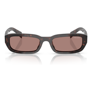 
  
    ROOT TORTOISE | LIGHT BROWN
  

