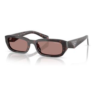 
  
    ROOT TORTOISE | LIGHT BROWN
  
