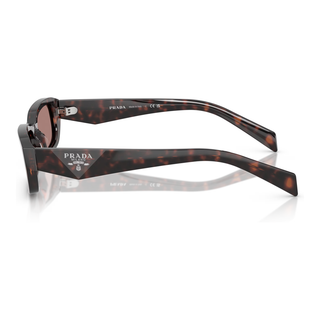 
  
    ROOT TORTOISE | LIGHT BROWN
  
