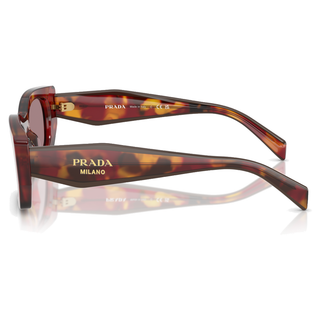 
  
    POPPY TORTOISE | LIGHT PURPLE BROWN
  
