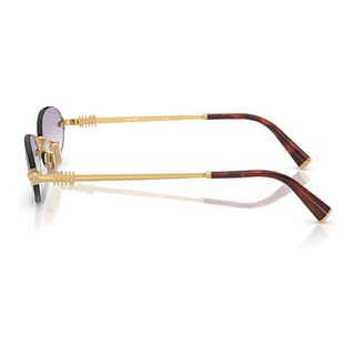 
  
    GOLD | CLEAR GRADIENT DARK GREY
  
