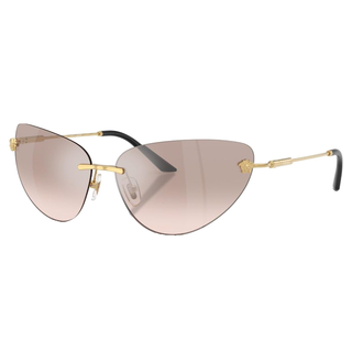 
  
    GOLD | LIGHT BROWN MIRROR SILVER
  
