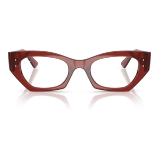 
  
    SHINY RUSTY BROWN | DEMO LENS
  
