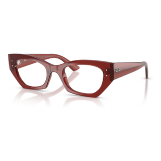 
  
    SHINY RUSTY BROWN | DEMO LENS
  
