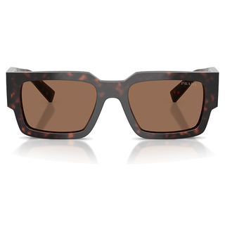
  
    ROOT TORTOISE | DARK BROWN
  
