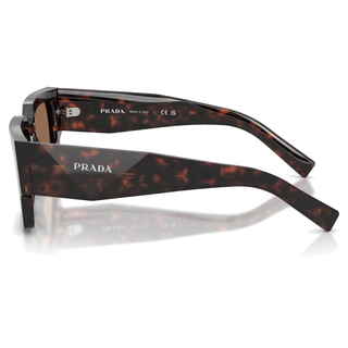 
  
    ROOT TORTOISE | DARK BROWN
  
