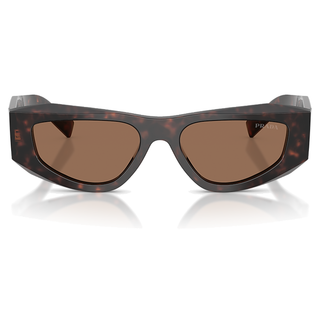 
  
    ROOT TORTOISE | DARK BROWN
  
