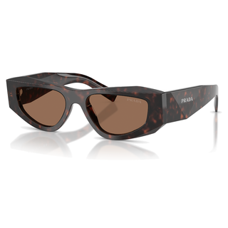 
  
    ROOT TORTOISE | DARK BROWN
  
