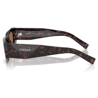 
  
    ROOT TORTOISE | DARK BROWN
  
