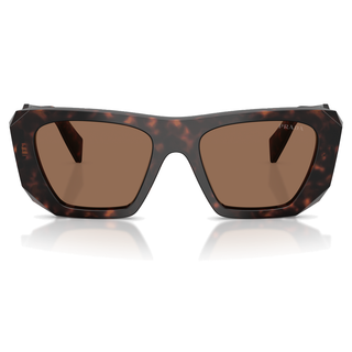 
  
    ROOT TORTOISE | DARK BROWN
  
