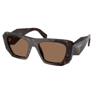 
  
    ROOT TORTOISE | DARK BROWN
  

