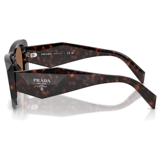 
  
    ROOT TORTOISE | DARK BROWN
  
