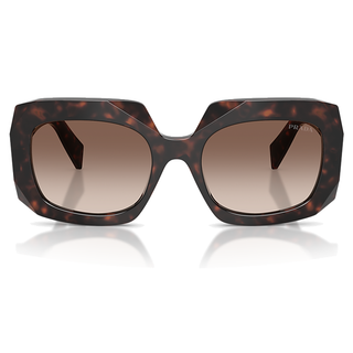 
  
    ROOT TORTOISE | BROWN GRADIENT
  
