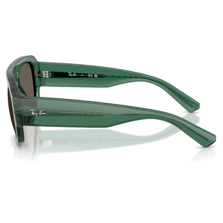 
  
    TRANSPARENT GREEN | BROWN
  
