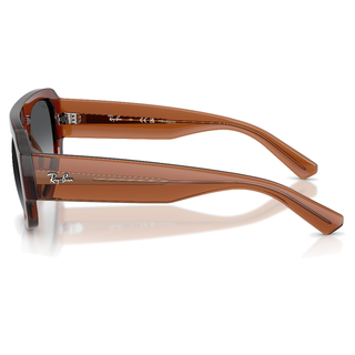 
  
    TRANSPARENT BROWN | GREY GRADIENT POLAR
  
