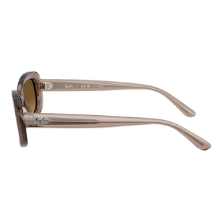 
  
    TRANSPARENT BEIGE | GRADIENT BROWN POLAR
  
