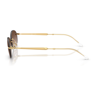 
  
    ARISTA | GRADIENT BROWN
  
