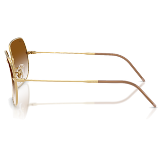 
  
    ARISTA | CLEAR GRADIENT BROWN
  
