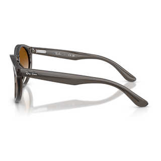 
  
    TRANSPARENT DARK GREY | CLEAR GRADIENT BROWN
  
