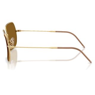 
  
    ARISTA | DARK BROWN POLAR
  
