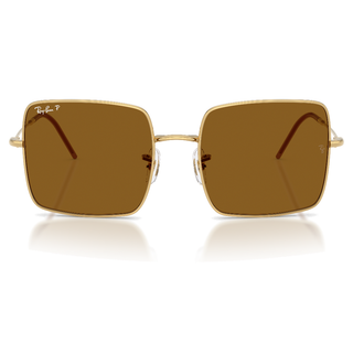 
  
    ARISTA | DARK BROWN POLAR
  
