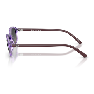 
  
    TRANSPARENT VIOLET | GRADIENT GREY
  
