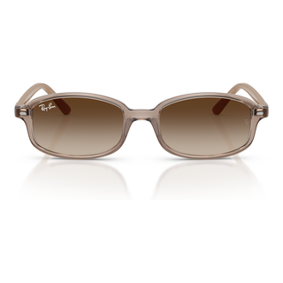 
  
    TRANSPARENT BEIGE | GRADIENT BROWN
  
