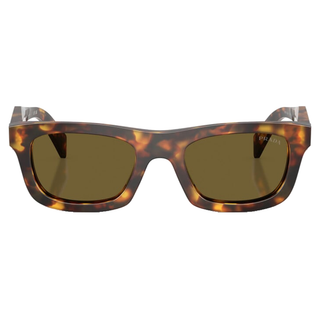 
  
    HONEY TORTOISE | DARK BROWN
  
