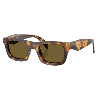 
  
    HONEY TORTOISE | DARK BROWN
  
