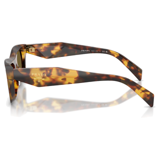 
  
    HONEY TORTOISE | DARK BROWN
  
