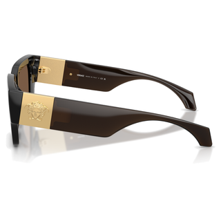 
  
    TRANSPARENT BROWN | BROWN
  
