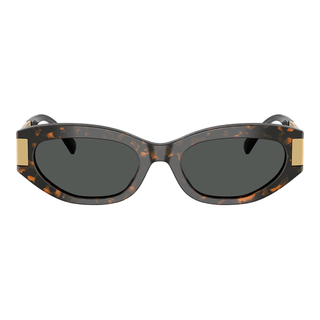 
  
    VE4501 CAT EYE SUNGLASS
  
