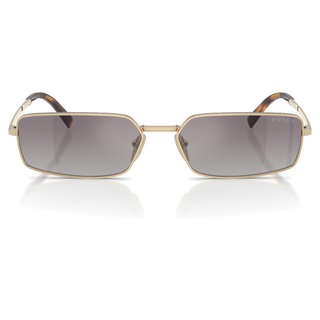 
  
    PALE GOLD | GRAD BLUE MIRROR SILVER INT
  
