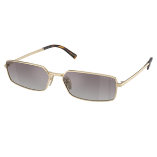 
  
    PALE GOLD | GRAD BLUE MIRROR SILVER INT
  
