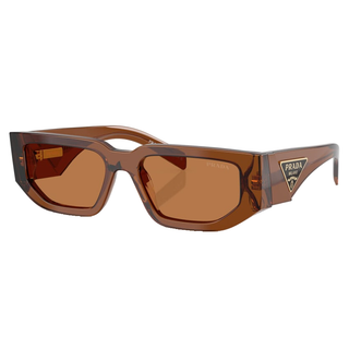
  
    DARK TRANSPARENT | BROWN
  
