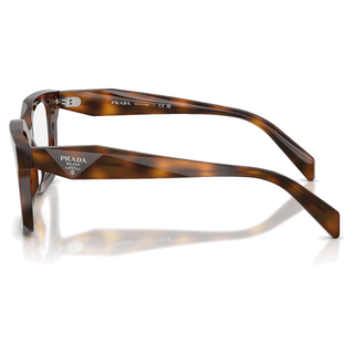 
  
    JUNIPER TORTOISE | DEMO LENS
  
