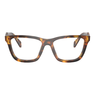 
  
    HONEY TORTOISE | DEMO LENS
  
