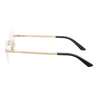 
  
    PALE GOLD | DEMO LENS
  
