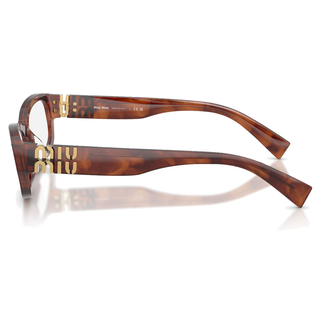 
  
    STRIPED TOBACCO | DEMO LENS
  
