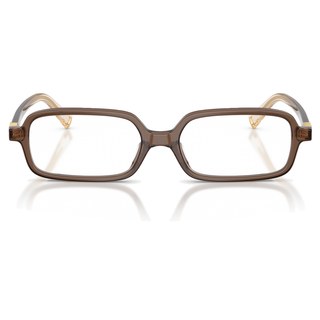 
  
    BROWN TRANSPARENT | DEMO LENS
  
