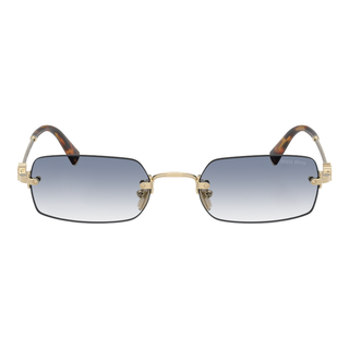 
  
    PALE GOLD | CLEAR GRADIENT LIGHT BLUE
  
