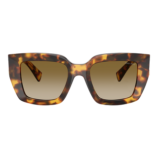 
  
    HONEY HAVANA | BROWN GRADIENT
  
