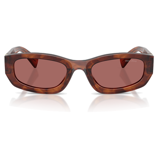 
  
    STRIPED TOBACCO | DARK VIOLET
  
