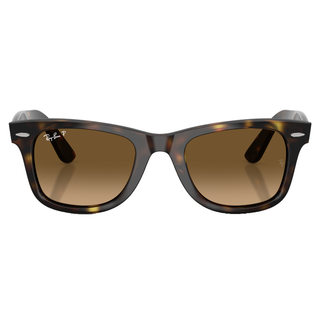 
  
    HAVANA | POLAR BROWN GRADIENT
  
