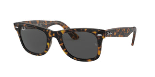
  
    HAVANA TRANSPARENT BROWN | DARK GREY
  
