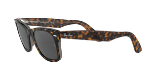 
  
    HAVANA TRANSPARENT BROWN | DARK GREY
  
