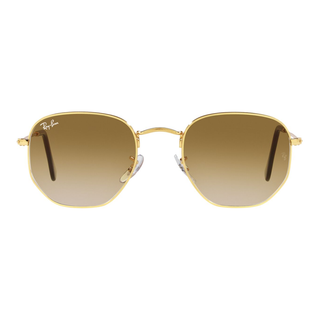 
  
    ARISTA | CLEAR GRADIENT BROWN
  
